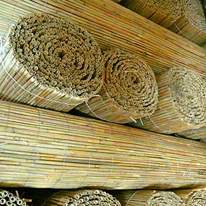 <?php echo $product['name']?>