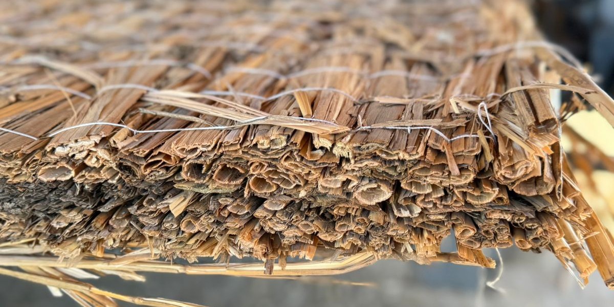 <?php echo $product['name']?>