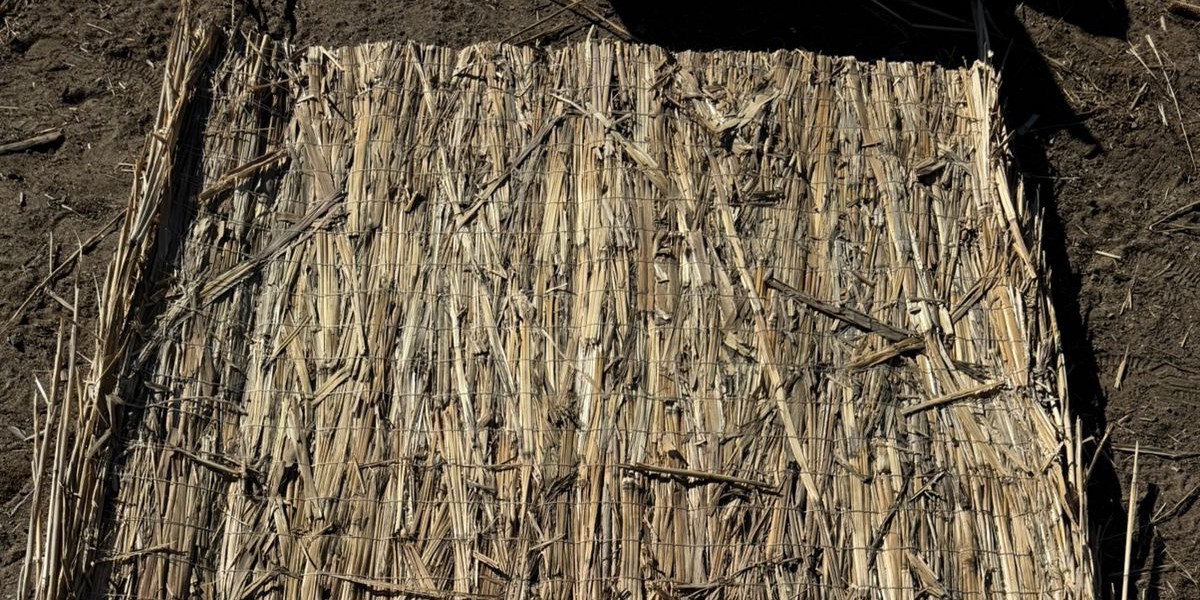 <?php echo $product['name']?>