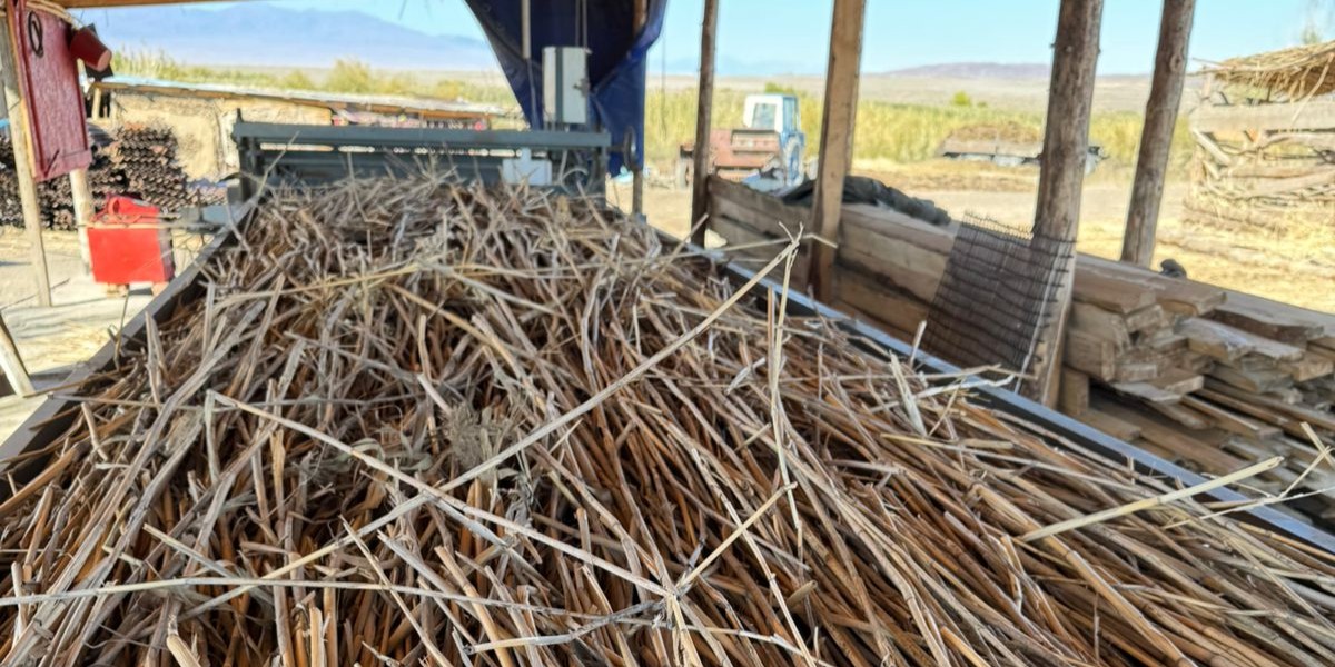 <?php echo $product['name']?>