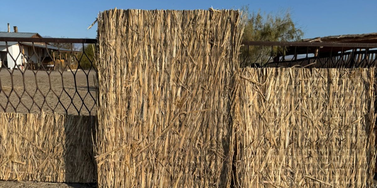 <?php echo $product['name']?>