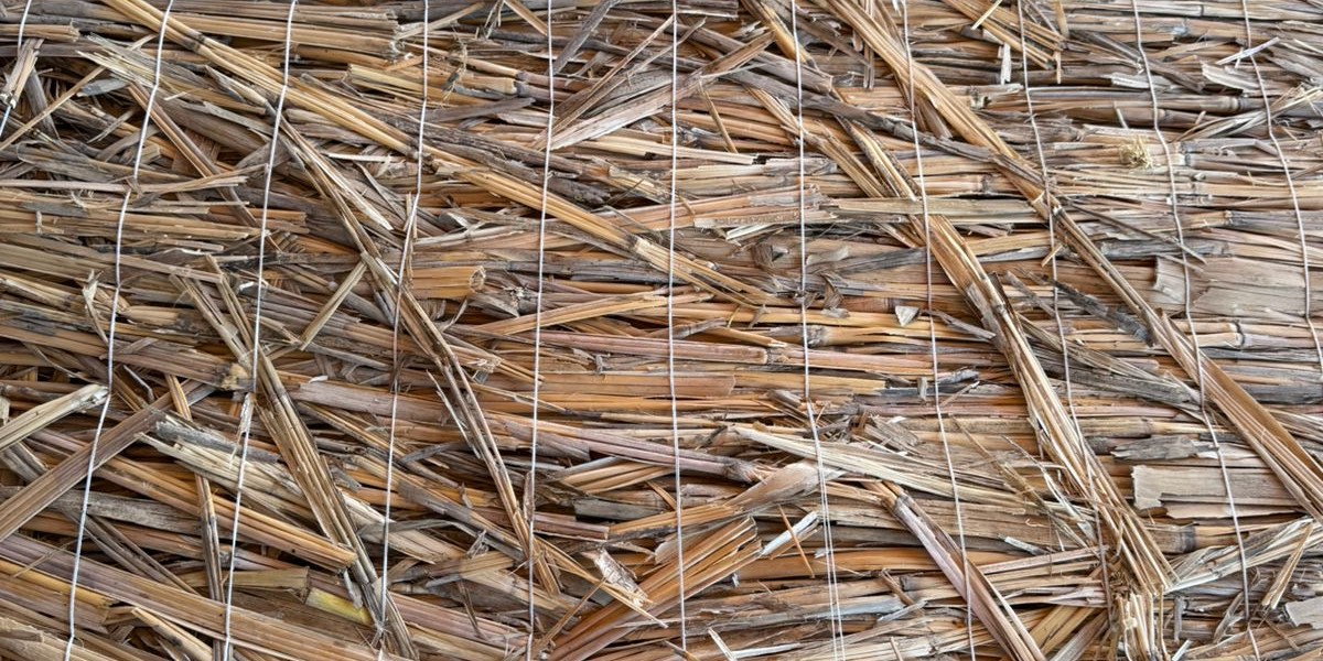 <?php echo $product['name']?>