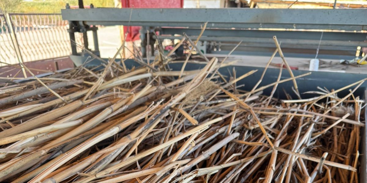 <?php echo $product['name']?>