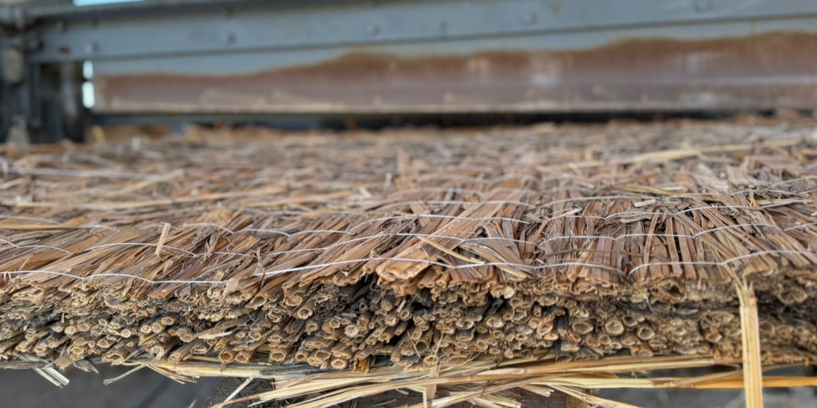 <?php echo $product['name']?>